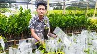 Reza, petani milenial asal Garut, didepan ribuan bibit tanaman buah yang berhasil ia tangkarkan di lahan keluarga yang disulap menjadi laboratorium alam miliknya di Kampung Sindangreret, Karangpawitan, Garut, Jawa Barat. (Liputan6.com/Jayadi Supriadin)