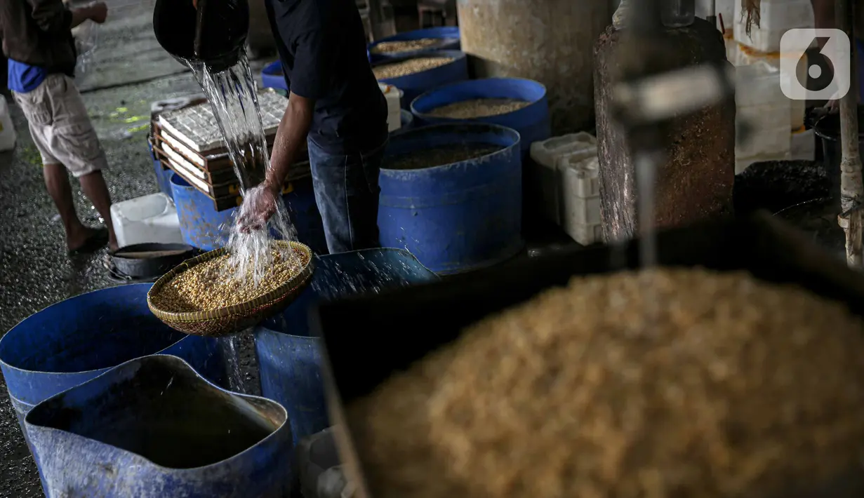 Pekerja mengolah kedelai untuk pembuatan tempe di kawasan Duren Tiga Raya, Jakarta, Kamis (24/2/2022). Produsen tahu tempe kembali berproduksi usai aksi mogok selama tiga hari karena harga kedelai yang naik hingga menyentuh Rp12.000 per kg dalam beberapa bulan terakhir. (Liputan6.com/Faizal Fanani)