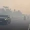 Kabut Asap Karhutla Selimuti Palangka Raya