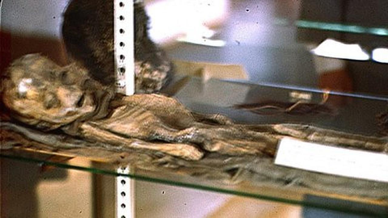 Ilmuwan dan astronot sebut foto alien kerdil ini asli