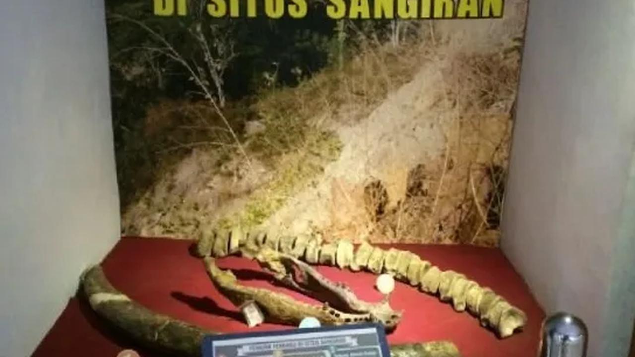 10. Sangiran Memiliki Potensi Wisata Edukasi