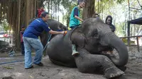 Solo KLB Corona, Hewan-Hewan di Taman Satwa Taru Jurug 'Me Time' Dulu