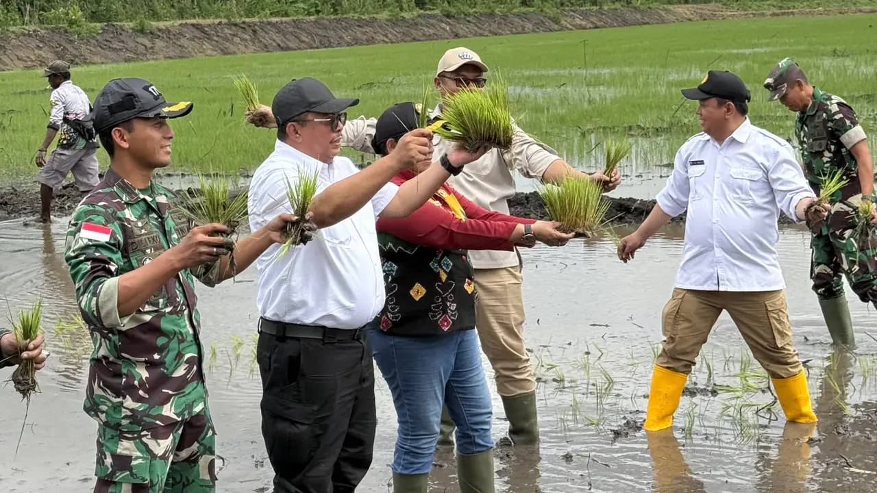 Kementerian Pertanian (Kementan) terus berupaya mengejar target swasembada melalui berbagai program strategis nasional.
