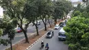 Pohon-pohon berdiri di Jalan Sudirman, Jakarta, Selasa (19/9). Terkait pembangunan trotoar, Sekda DKI Saefullah mengatakan ribuan pohon akan dipindahkan ke lokasi yang merupakan aset Pemprov DKI, seperti Taman BMW. (Liputan6.com/Immanuel Antonius)