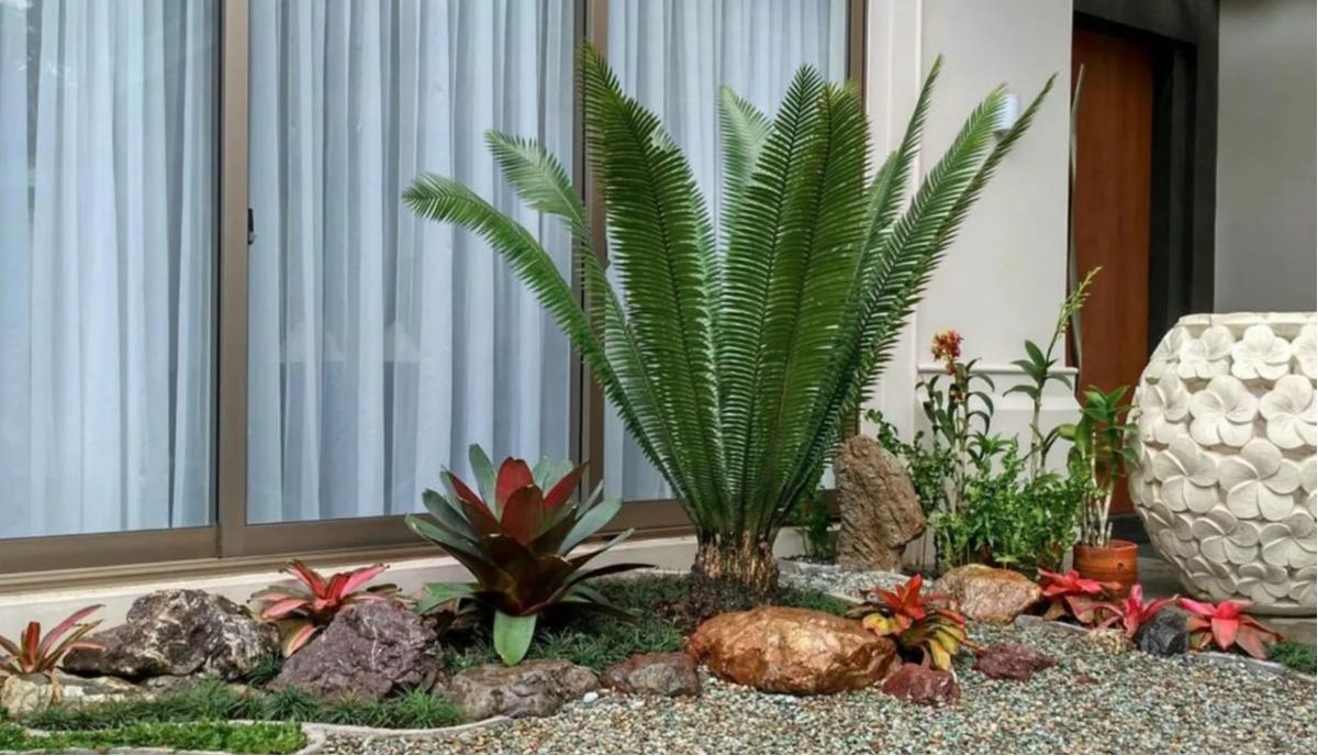 15 Inspirasi taman kering dalam rumah dengan berbagai tema