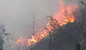 Kebakaran Bromo Meluas Menuju Perbatasan