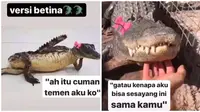 Meme modus buaya betina (Sumber: Twitter/jawafess)