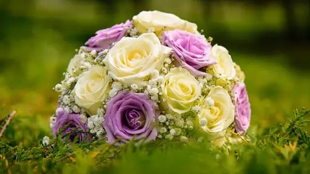 Ilustrasi. | Foto: copyright pexels.com