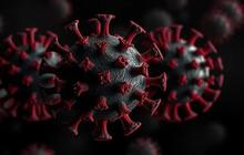 Tak Hanya HMPV, Pakar Sebut Terdapat Dua Virus Lain yang Juga Perlu Mendapat Perhatian