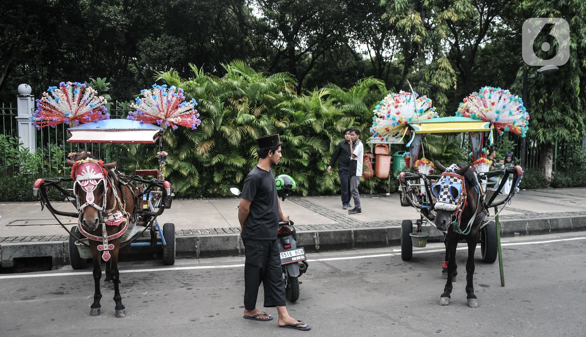 Larangan Operasional Delman di Monas - Foto Liputan6.com