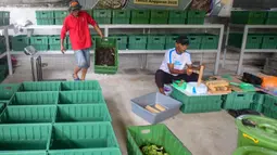 Dalam sebulan dihasilkan lebih kurang 200 kg maggot yang dijual kepada warga sekitar dengan harga Rp8 ribu hingga Rp10 ribu per kilogramnya. (Merdeka.com/Arie Basuki)