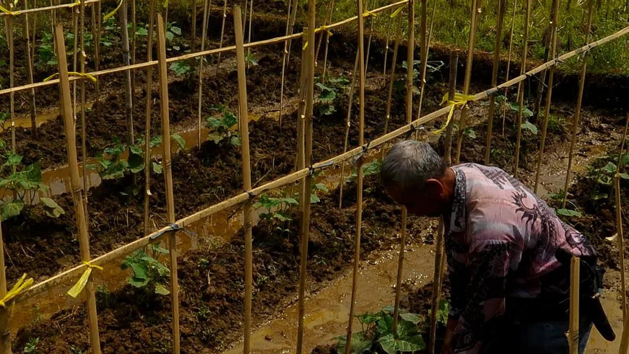 Berikut daftar lima petani terkaya di dunia menurut Forbes: