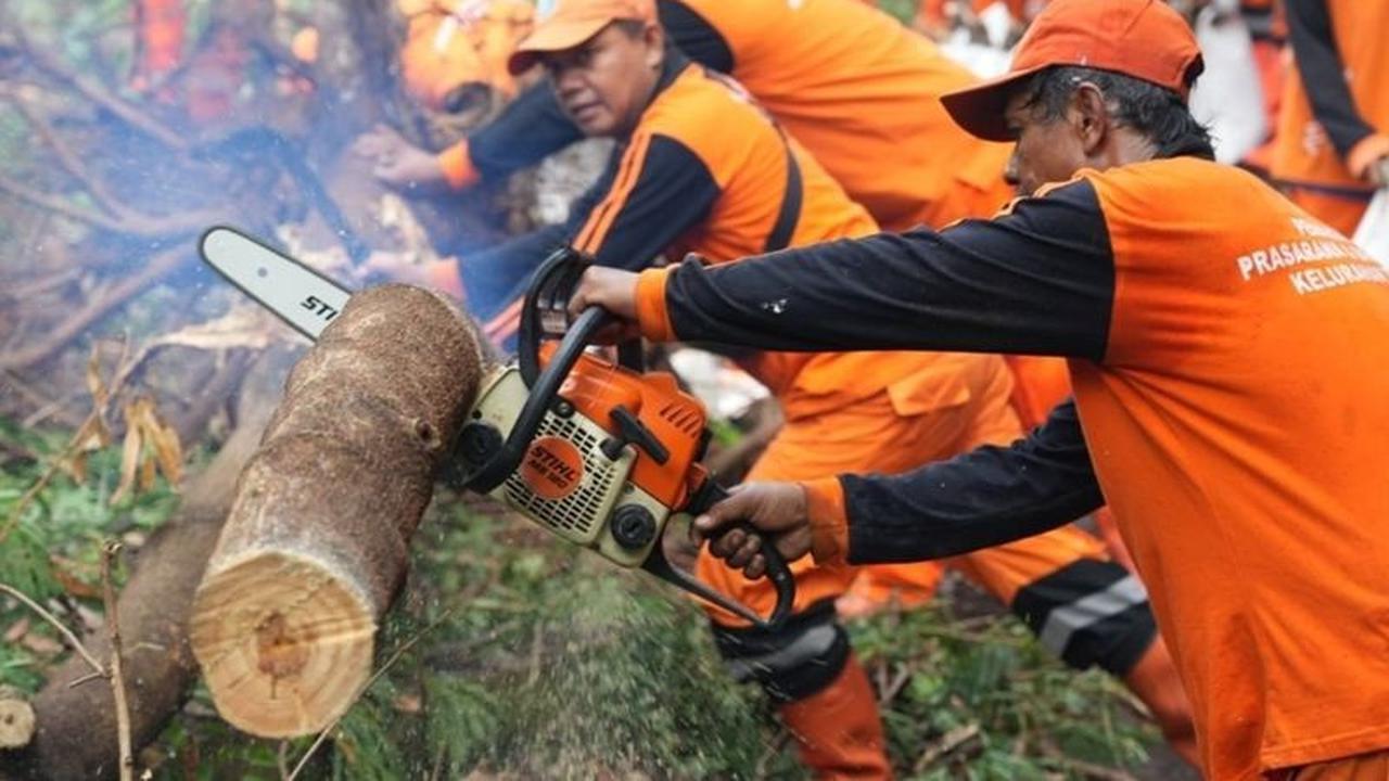 200 Petugas Bersihkan 3,6 Hektare Lahan, Ini Rencana Pengembangan Lahan RS Sumber Waras di Jakarta Barat