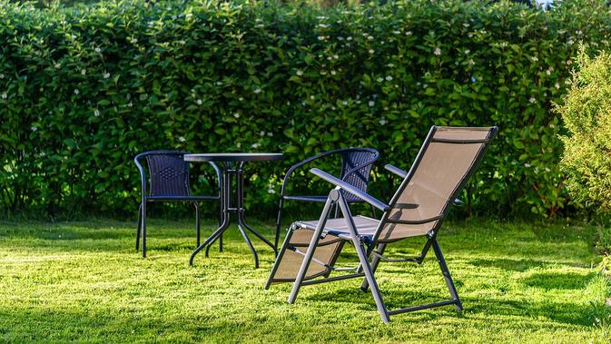 8 Jenis Rumput Taman Yang Populer Pilih Sesuai Kondisi Lingkungan Hot Liputan6 Com