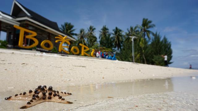 Menyelami Pagi Di Pulau Bokori Regional Liputan6 Com