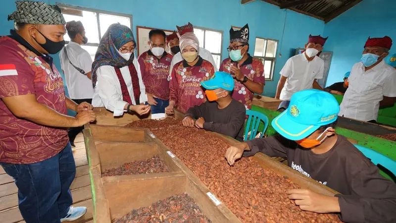 Bupati Banyuwangi Ipuk Fiestiandani (Tengah) melihat langsung proses pemilihan biji coklat terbaik di Perkebunan PT Perkebunan Nusantara (PTPN) XII Kendeng Lembu, Glenmore (Istimewa)