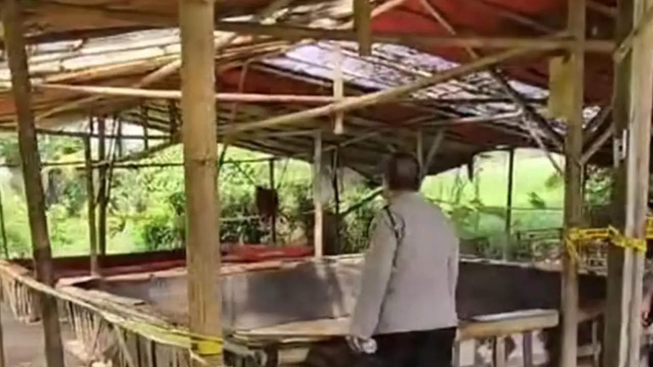 Polresta Tangerang membongkar lokasi arena sabung ayam di Kampung Ilat, Desa Pangadegan, Kecamatan Pasar Kemis, Kabupaten Tangerang.