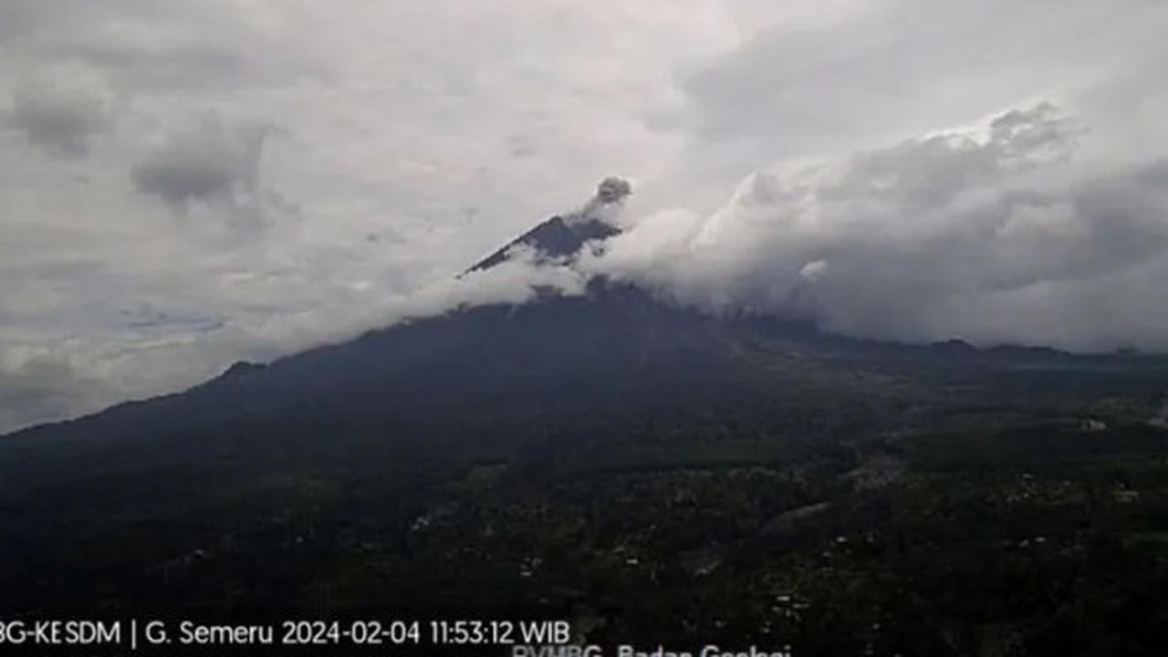 Gunung Semeru kembali erupsi dengan tinggi letusan 600 meter dari kwah puncak (Istimewa)