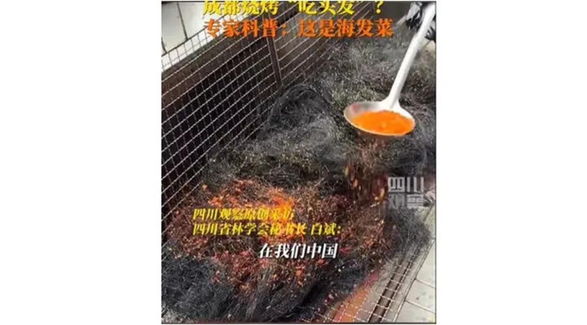 Viral Street Food China Mirip Segumpal Rambut Hitam, Laris Buat Camilan