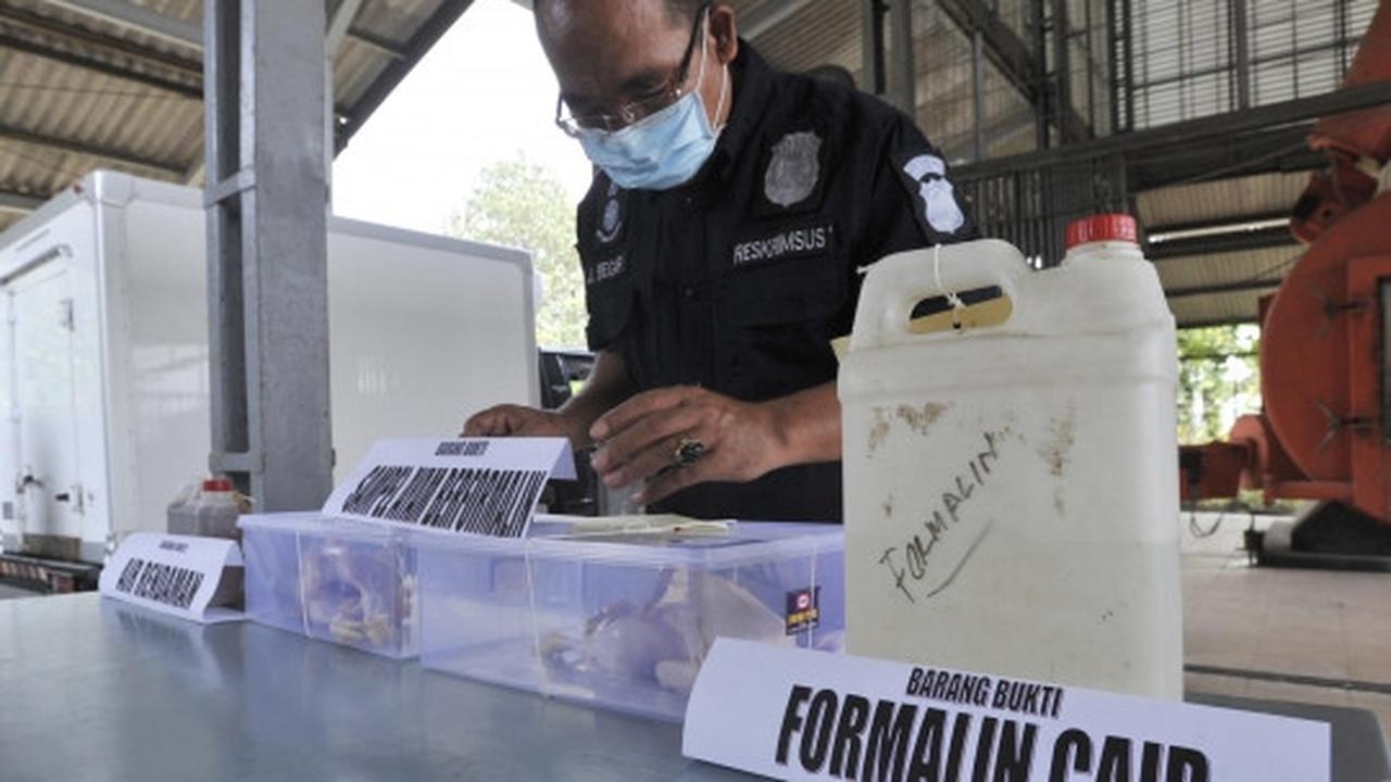 Puspitek musnahkan 1,5 ton ayam berformalin