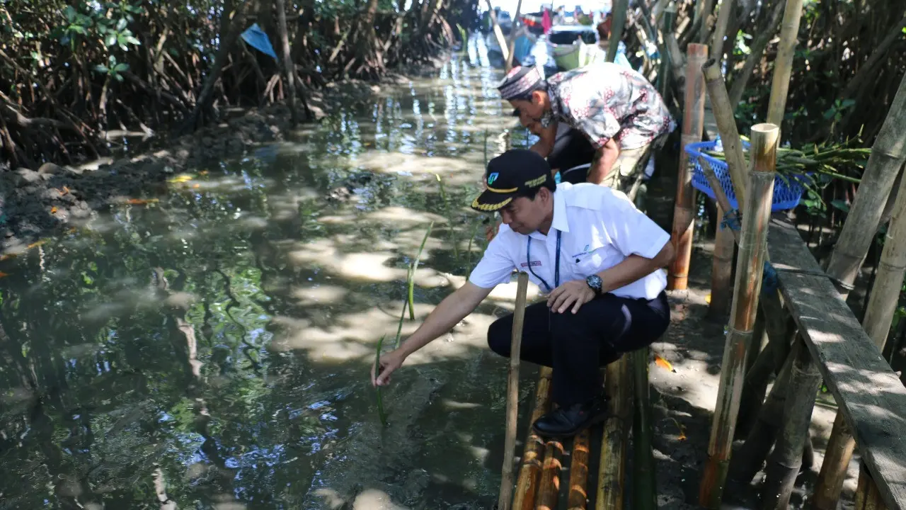 Turut Lestarikan Lingkungan, AP I Serahkan 25 Ribu Bibit Mangrove