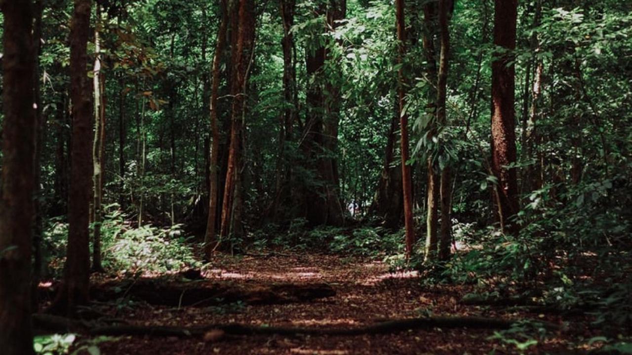 <b>Miniatur Hutan Hujan Tropis</b>