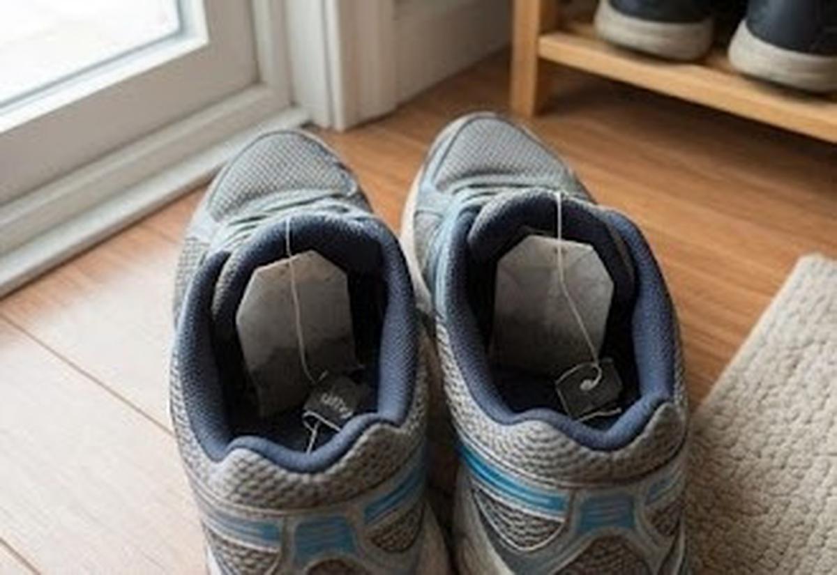 Cara Menghilangkan Bau Sepatu Tanpa Dicuci dan Dijemur