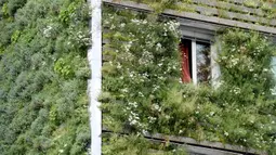 Fasad gedung kantor pusat MA 48 yang rimbun menghijau di Wina, Austria, 22 Juli 2020. Fasad kantor ini dilapisi tanaman hijau, yang memiliki efek membentuk iklim mikro, melindungi rangka bangunan dari hujan dan tumpukan kotoran, melindungi dari kebisingan, dan menyejukkan. (Xinhua/Guo Chen)