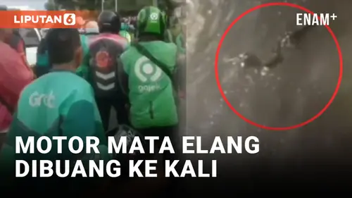 VIDEO: Hendak Rampas Motor, Massa Driver Ojol di Sawah Besar Buang Motor Debt Collector ke Kali