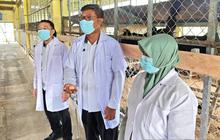 Fakta Menarik: Lapas Gorontalo Gandeng BRMP Kembangkan Peternakan Ayam Petelur untuk Ketahanan Pangan