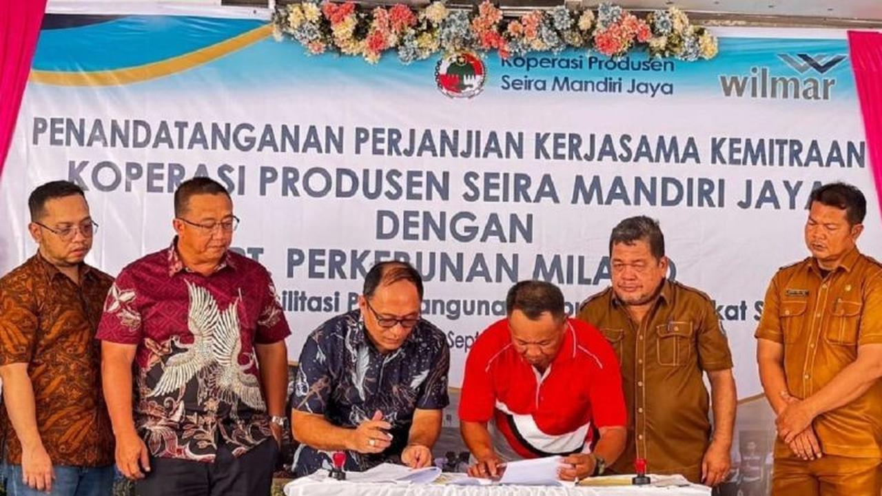 Meningkat 700 Kg/Ha! Kemitraan Wilmar Petani Sawit Labuhanbatu Dorong Produktivitas dan Kesejahteraan