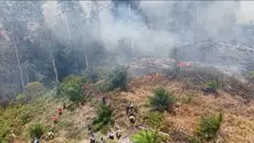 Penerjun Freefall Dikerahkan Tangani Kebakaran Hutan Riau