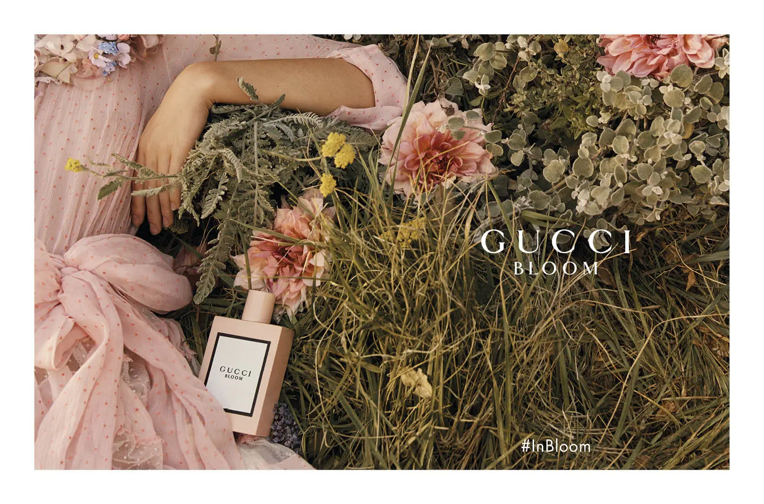 Alessandro Michele melansir wewangian terbarunya yang bertajuk Gucci Bloom. (Foto: Gucci. Dok)