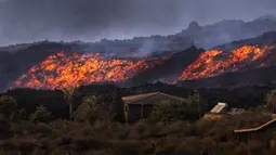 Lava gunung berapi Cumbre Vieja yang meletus mengalir di Pulau Canary La Palma, Spanyol, 28 Oktober 2021. Gunung berapi Cumbre Vieja yang terus meletus mengeluarkan sejumlah besar magma, gas dan abu. (AP Photo/Emilio Morenatti)
