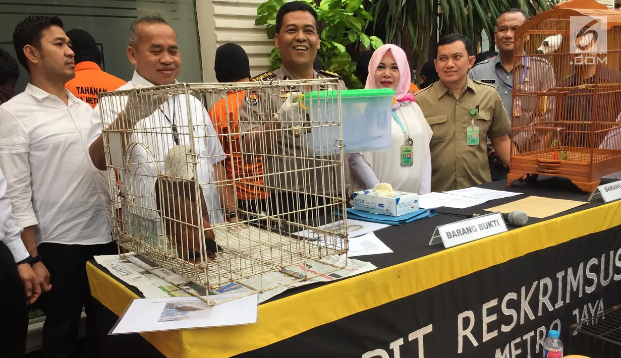 Kabid Humas Polda Metro Jaya, Kombes Argo Yuwono melihat barang bukti kasus jual beli satwa liar yang dilindungi, Jakarta, Rabu (31/1). Petugas menangkap tujuh pelaku yang memperjual-belikan hewan itu melalui media sosial. (Liputan6.com/Immanuel Antonius)