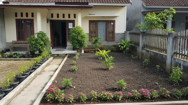 Desain Taman Rumah yang Efektif Mencegah Kucing Liar Berak di Halaman