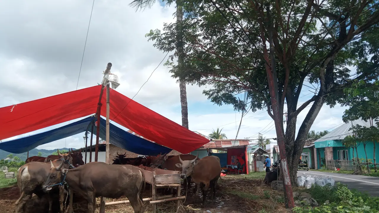 Pasar Hewan