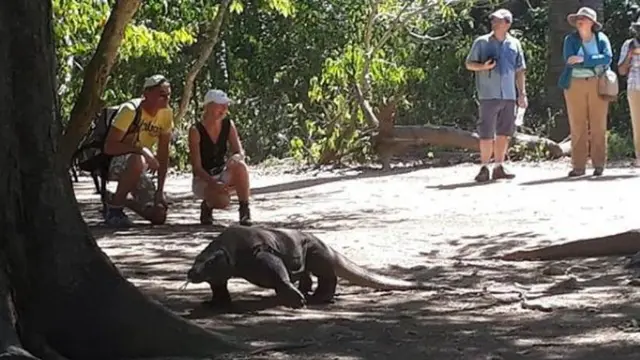 Pulau Komodo