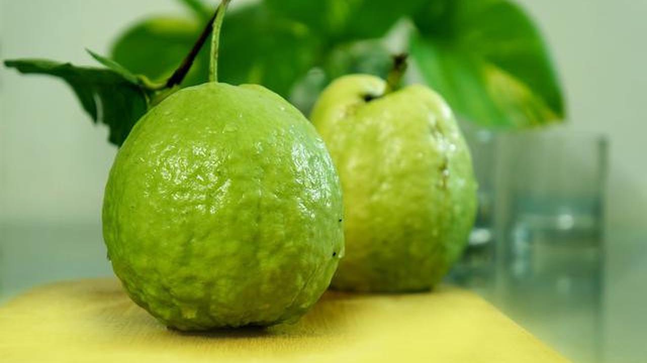 7 Jenis Pohon Buah yang Tidak Ada Ulatnya, Aman Ditanam di Rumah
