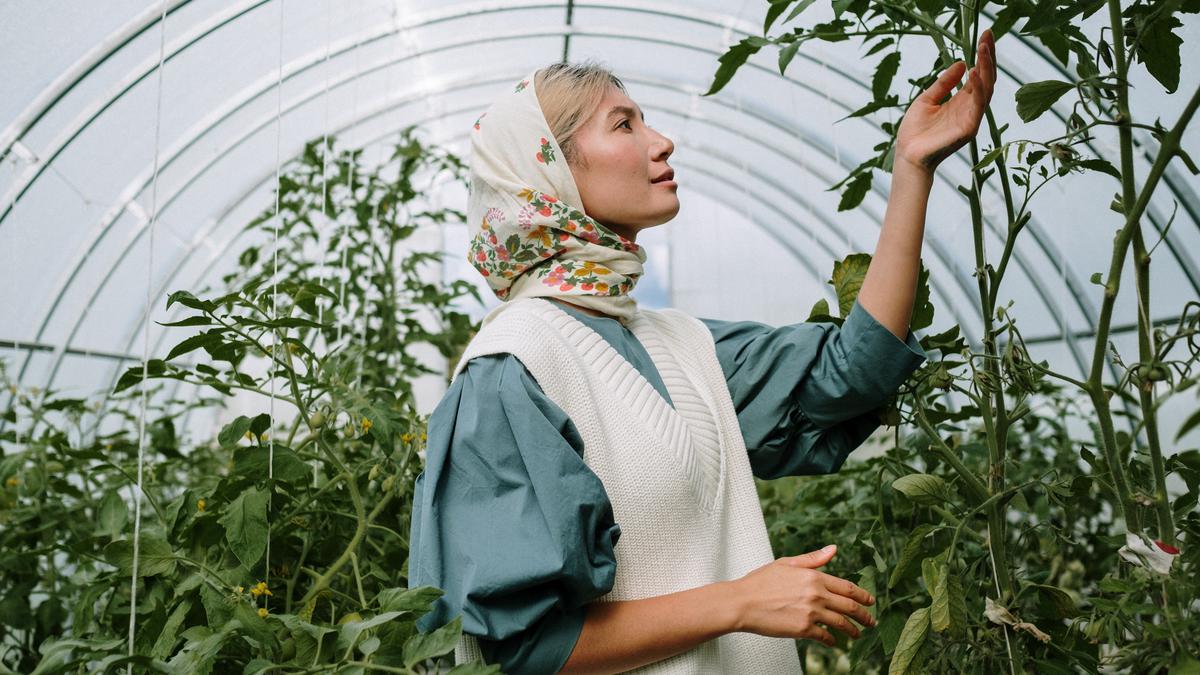 Kisah Inspiratif Di Balik Arti Mimpi Berkebun