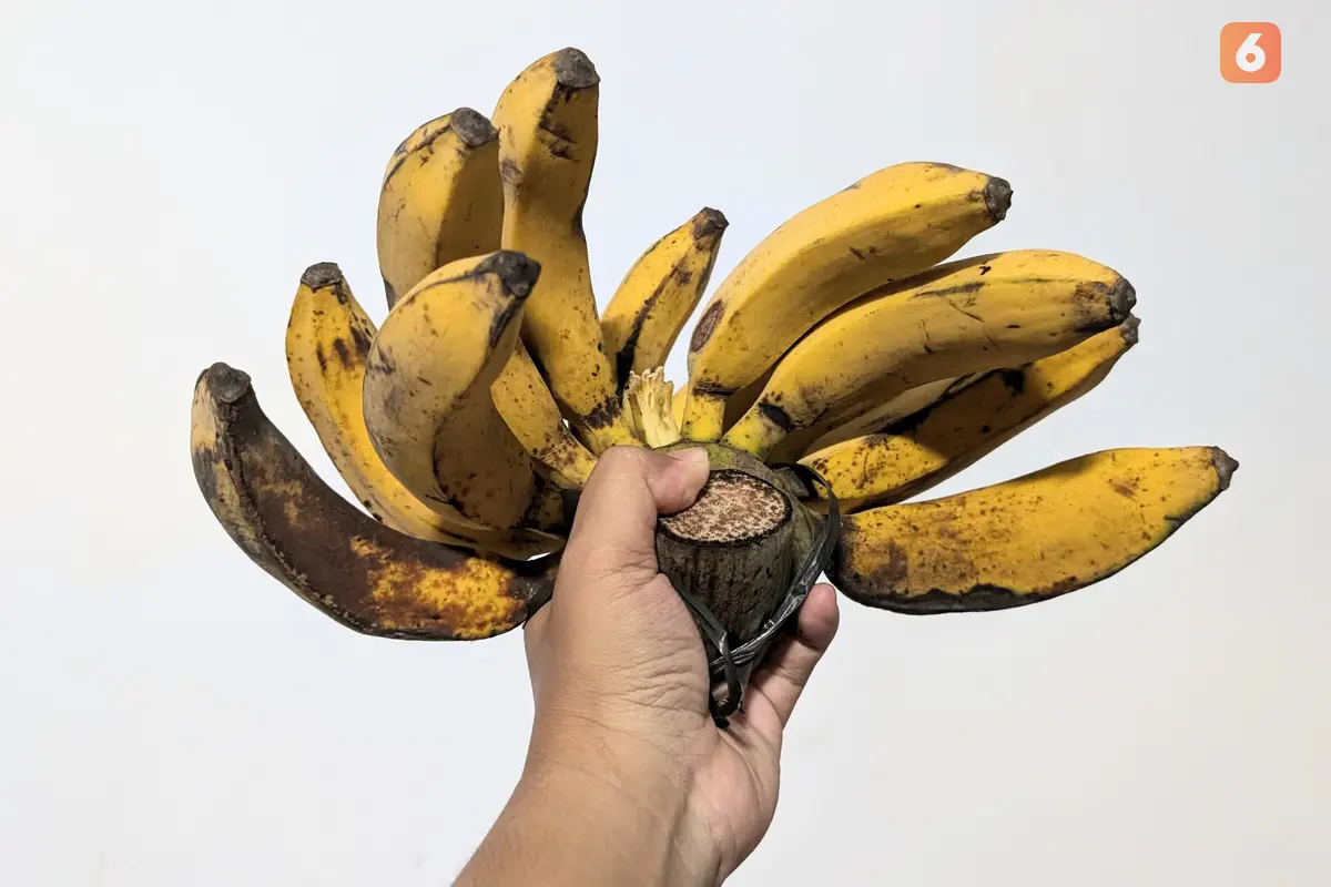 Pisang