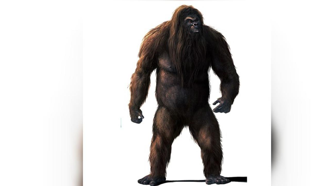 Penampakan Big Foot di Belantara Hutan Inggris, Hoax?