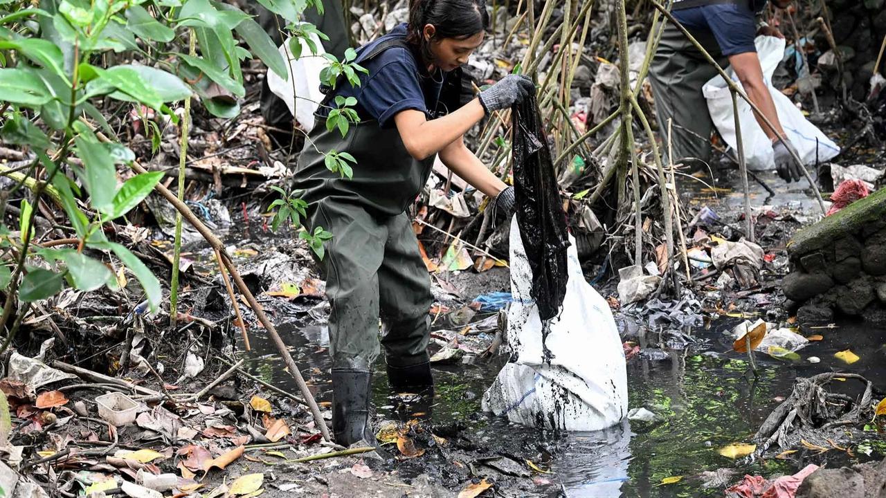 FOTO: Aksi Bersih Sampah Plastik di Hutan Bakau Serangan Bali