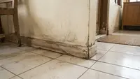 Kenapa Dinding Dekat Lantai Sering Terlihat Lebih Kotor? 8 Hal Sepele Ini Ternyata Penyebabnya