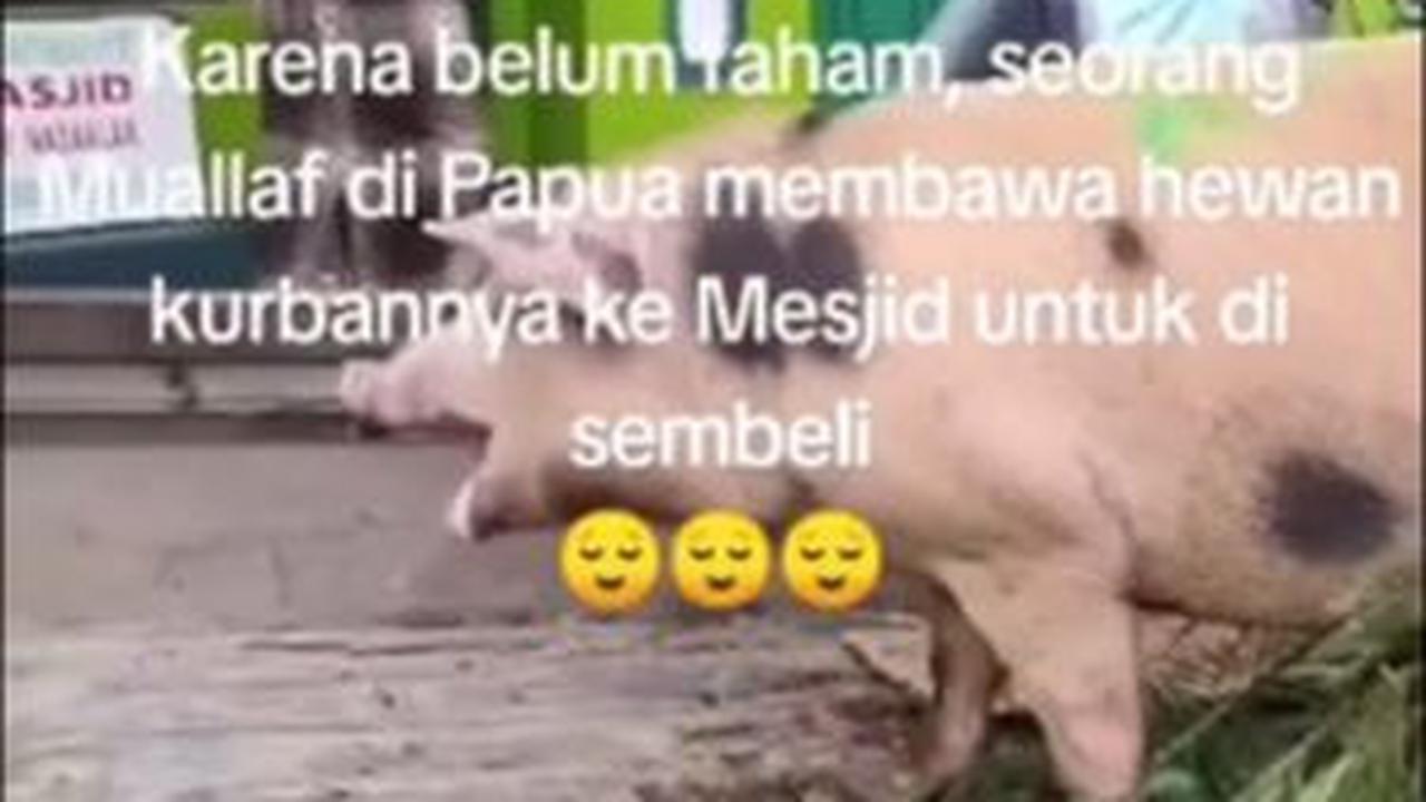 Dok. Istimewa