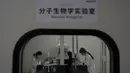 Pekerja berada di Laboratorium Biologi Molekuler di pabrik vaksin SinoVac di Beijing, Kamis (24/9/2020). Perusahaan farmasi China, Sinovac mengatakan vaksin virus corona yang dikembangkannya akan siap didistribusikan ke seluruh dunia, termasuk AS, pada awal 2021. (AP Photo/Ng Han Guan)
