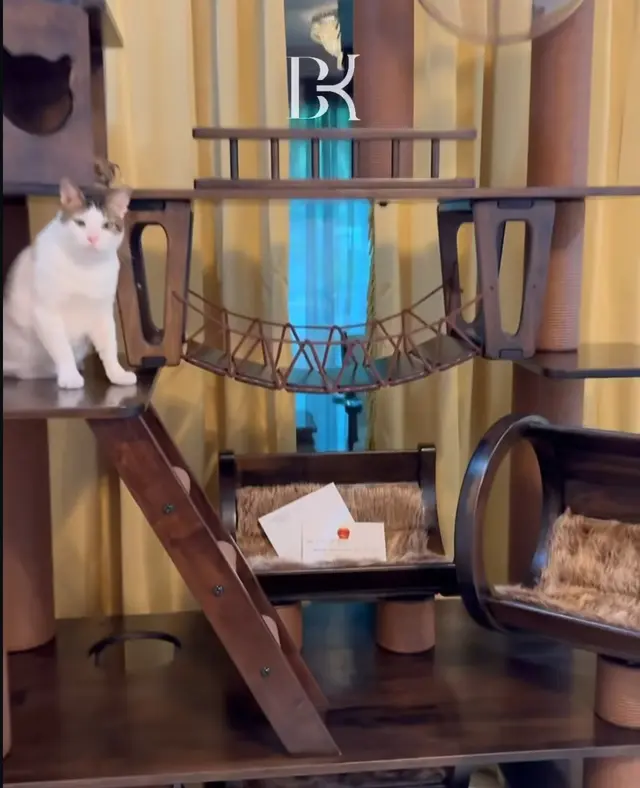 Dapat hadiah dari Dubes China, ini 7 potret rumah mewah Bobby Kertanegara kucing Presiden Prabowo