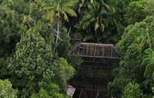 Per Agustus 2023, Industri Kelapa Sawit Sumbang Devisa Rp326,3 Triliun ke Negara