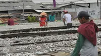 Sejumlah pekerja mengeringkan ikan asin di kawasan Muara Angke, Jakarta, Rabu (13/1/2016). Menteri Kelautan dan Perikanan, Susi Pudjiastuti optimistis sektor perikanan akan mengalami pertumbuhan sebesar 12 persen pada 2016 (Liputan6.com/Faisal R Syam)