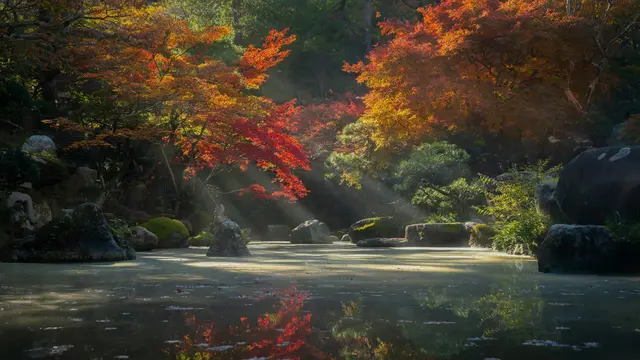 Zen